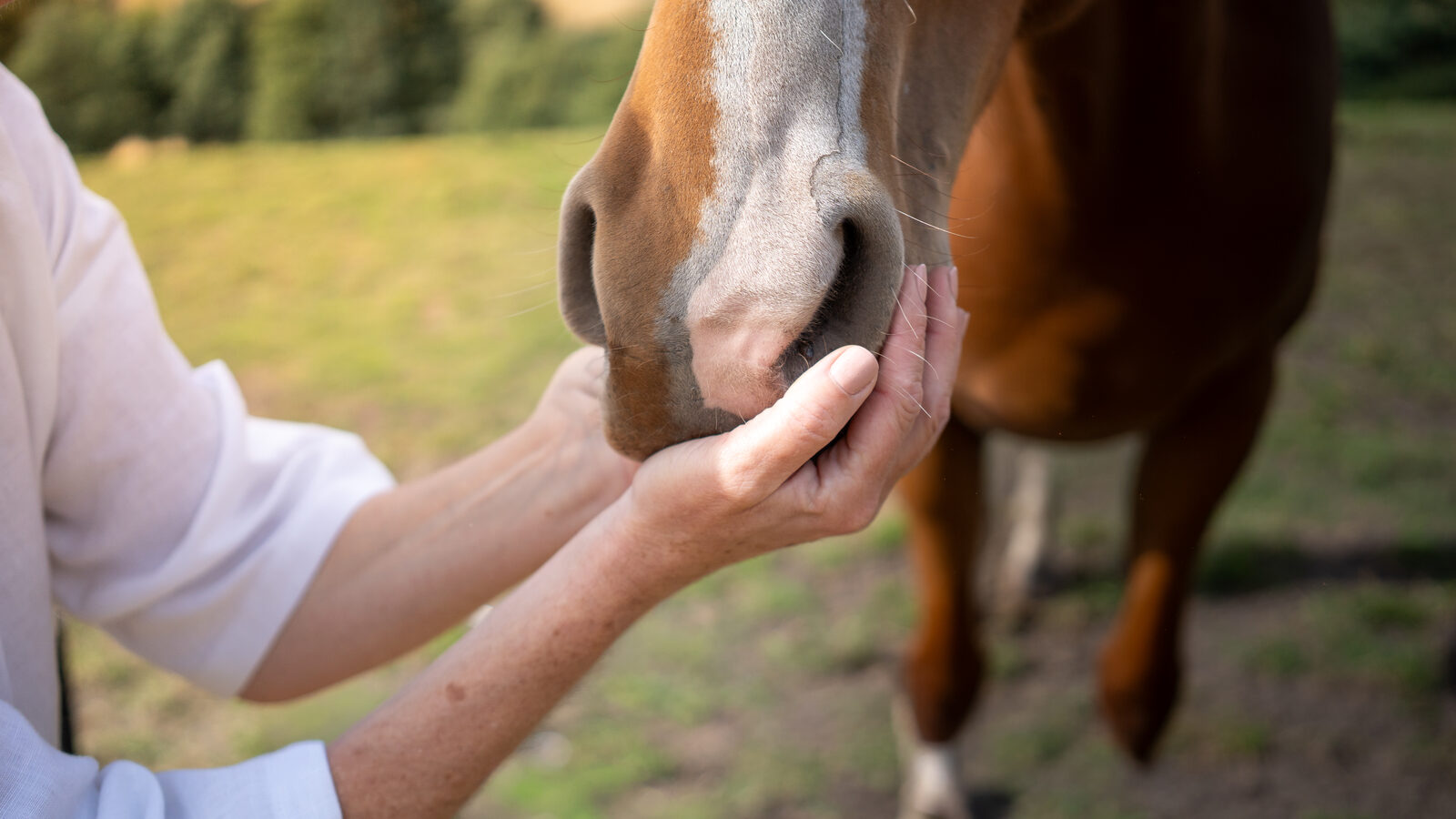 Chiropractor's hands during a patient consultation